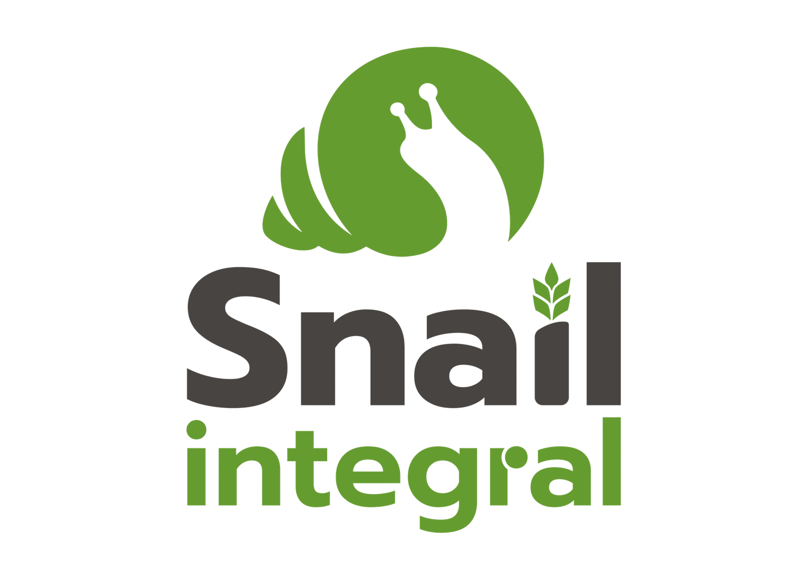 Snail Integral